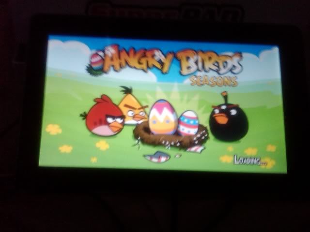 Angry Bird, angry bird ipad, playing angry bird, angry bird cahracter, burung marah,