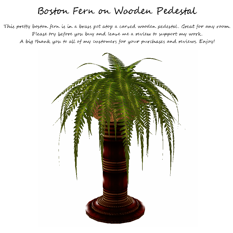 Boston Fern on Wooden Pedestal photo Boston fern on wood pedestal.png