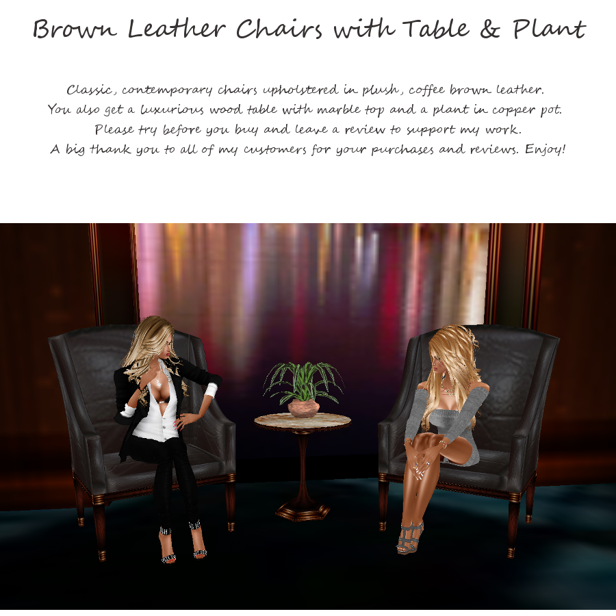 Brown Leather Chairs and Table with Plant photo Brown Leather Chairs with Table and Plant.png