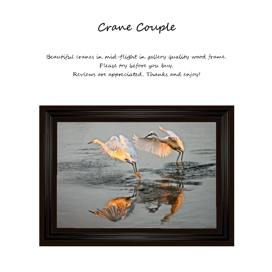 Crane Couple photo Crane couple.png