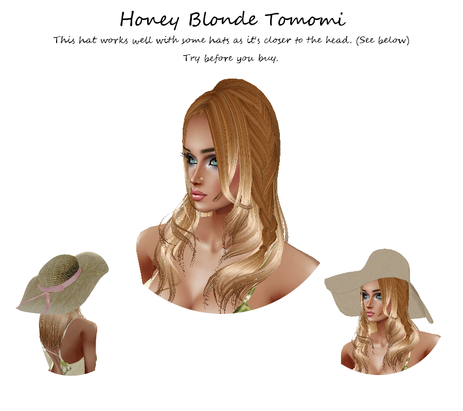 Honey Blonde Tomomi photo Honey Blonde Tomomi.png