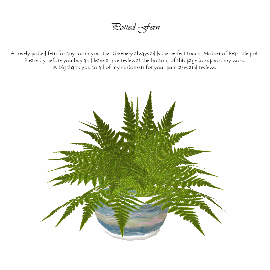 Potted Fern photo PottedFern.png