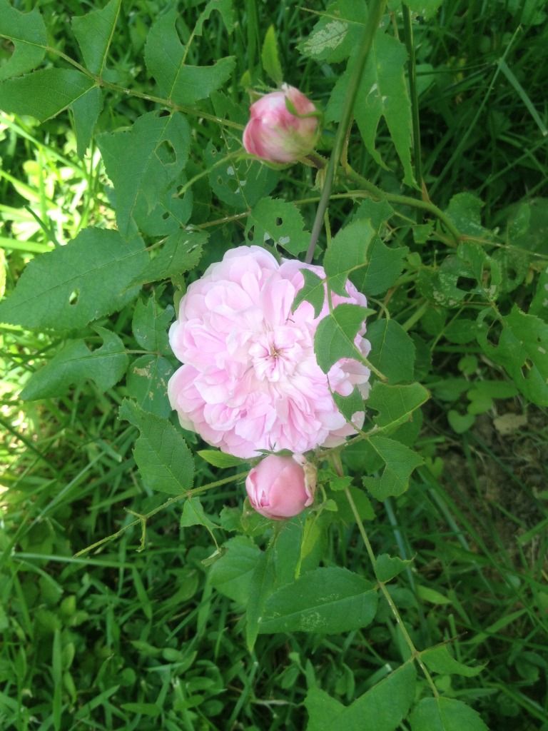 Photobucket Pictures, Images and Photos