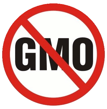 gmo