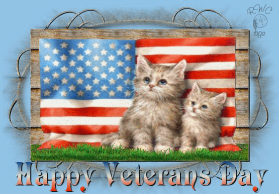  photo cute-kitties-wishes-you-happy-veterans-day_zpsqrzkltip.gif