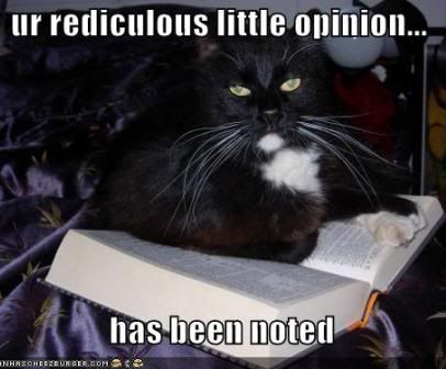 funny-pictures-cat-has-noted-your-r.jpg