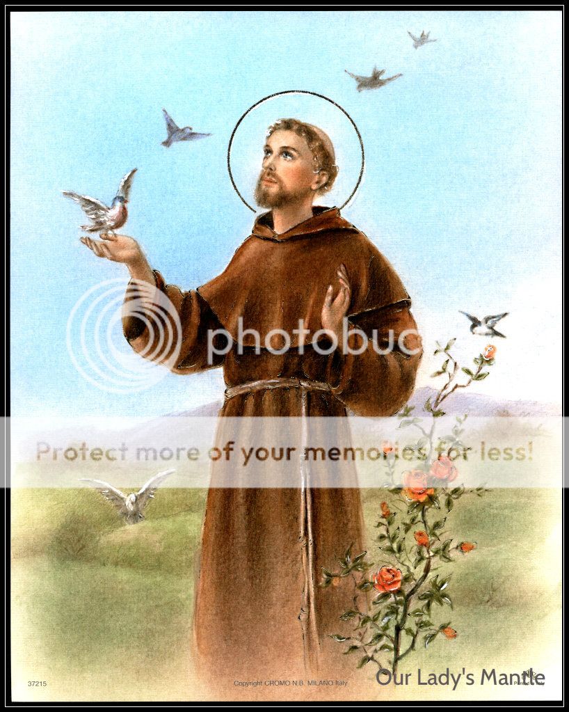 St Francis of Assisi | ... Art Print Picture St Francis of Assisi ...